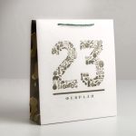 Пакет 23 февраля Стиль 26х30х9см глянец 5187543