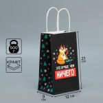 Пакет Это лучше чем НИЧЕГО 12х21х9см крафт 9524127