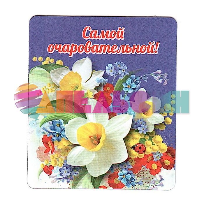 Магнит Самой очаровательной 15.20.00060