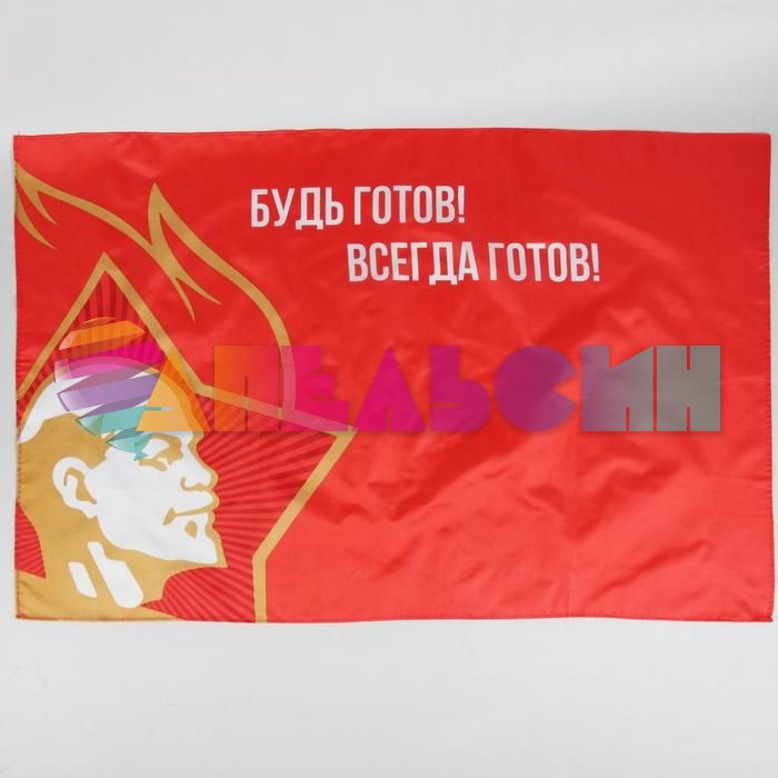 Набор для проведения Пионер party 4320860