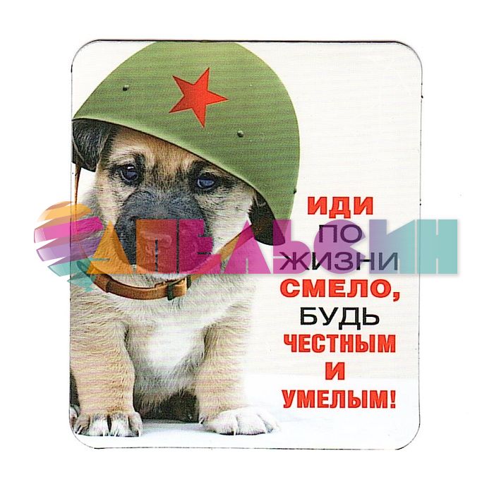 Магнит Иди по жизни смело...51.15.236-РАСПРОДАЖА