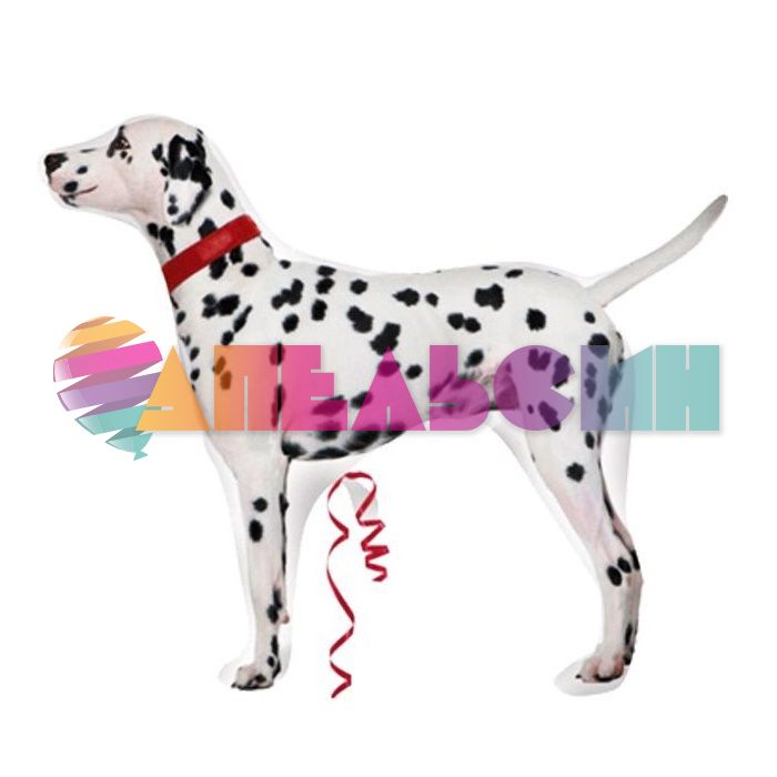 Шар фигура Долматинец STREET A37"/84см (США) 24777 1207-1399