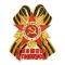 Наклейка Я помню Я горжусь Брошь с орденом 17х21см 2074099
