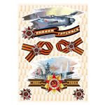Наклейка 9 мая Помним Гордимся самолет 30х50см 9MS0002034