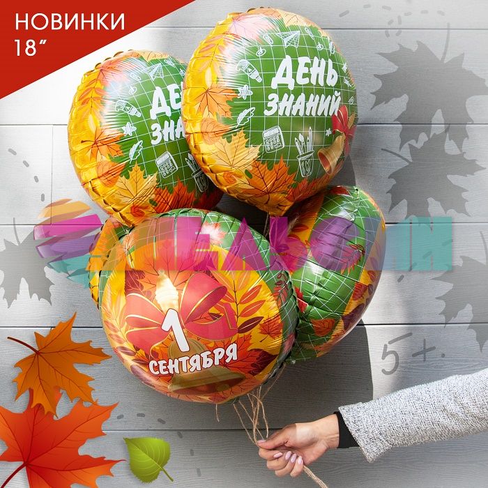 Шар фольга День знаний AG19"/48см (Россия) 740111