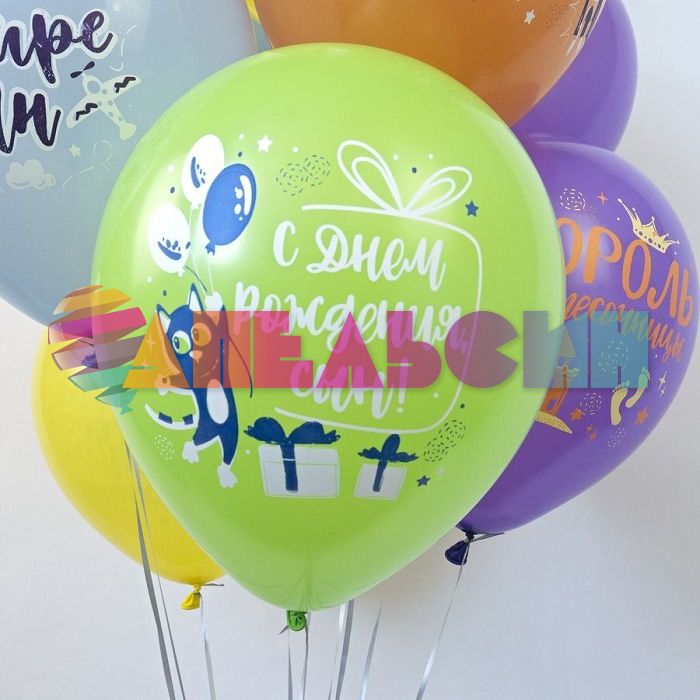 Шар латекс С ДР Король песочницы 12"/30см 25шт/уп (Тайланд) Ч45229