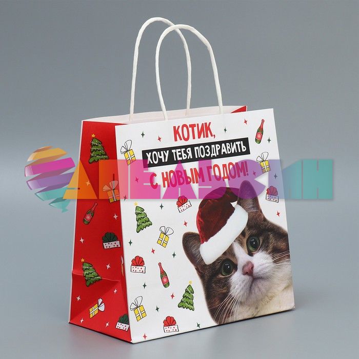 Пакет С НГ Котик 22х22х11см крафт 9524134