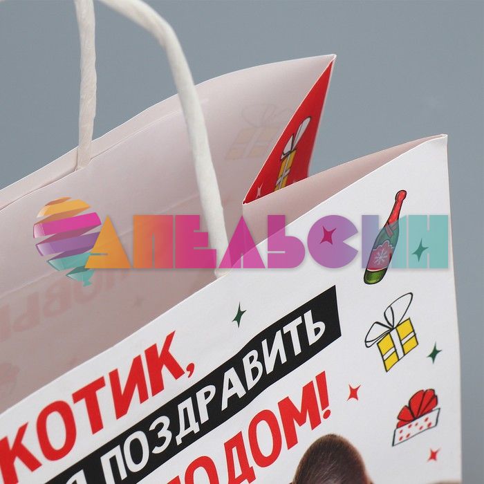 Пакет С НГ Котик 22х22х11см крафт 9524134