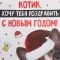 Пакет С НГ Котик 22х22х11см крафт 9524134