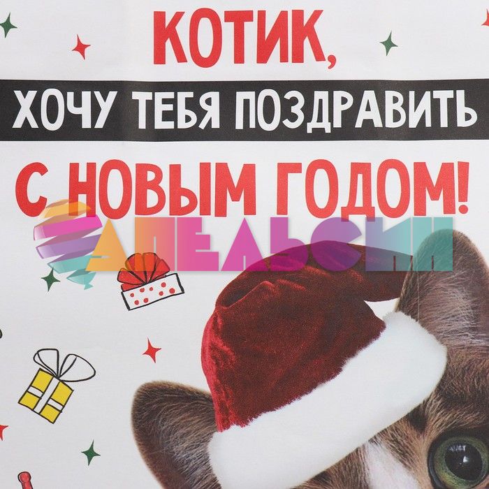 Пакет С НГ Котик 22х22х11см крафт 9524134