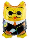 Мини фигура Сова выпускник FL14"/36см (Китай) 24585