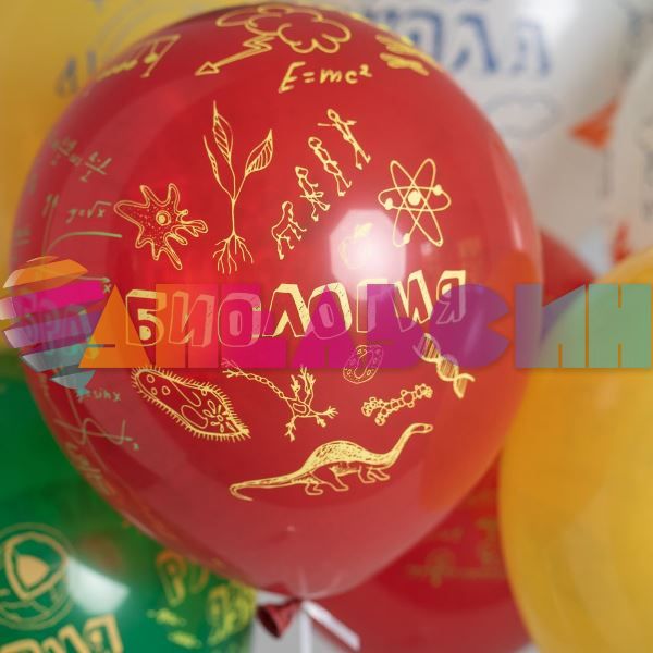 Шар латекс Вперед к знаниям 12"/30см 25шт/уп (Мексика) 6076993