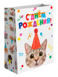 Пакет С ДР Котики в колпачке 45х55х20см глянец 505482