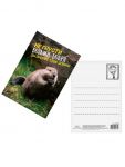 Карточка Не грусти, возьми бобра 7,5х10,5см 1840071