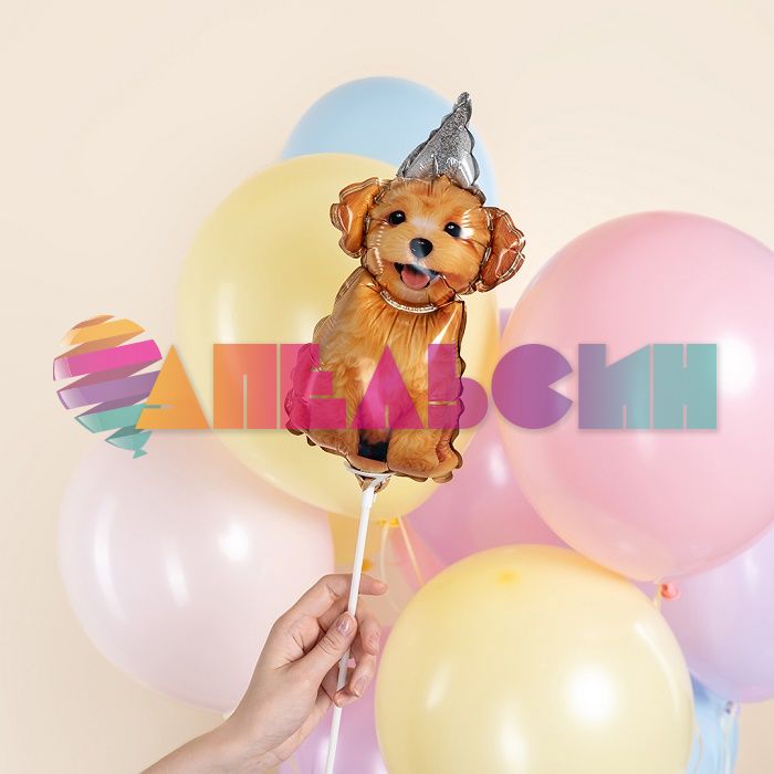 Мини фигура Песик в колпачке FL17"/43см с клапаном (Китай) 27147