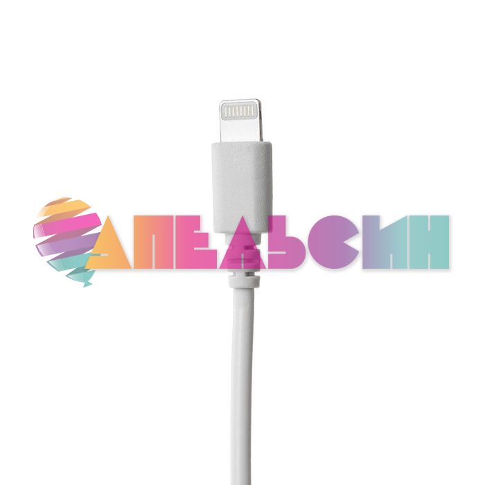 Зарядное утройство 2 USB Lightning 1А 1м черно-белый 4310401