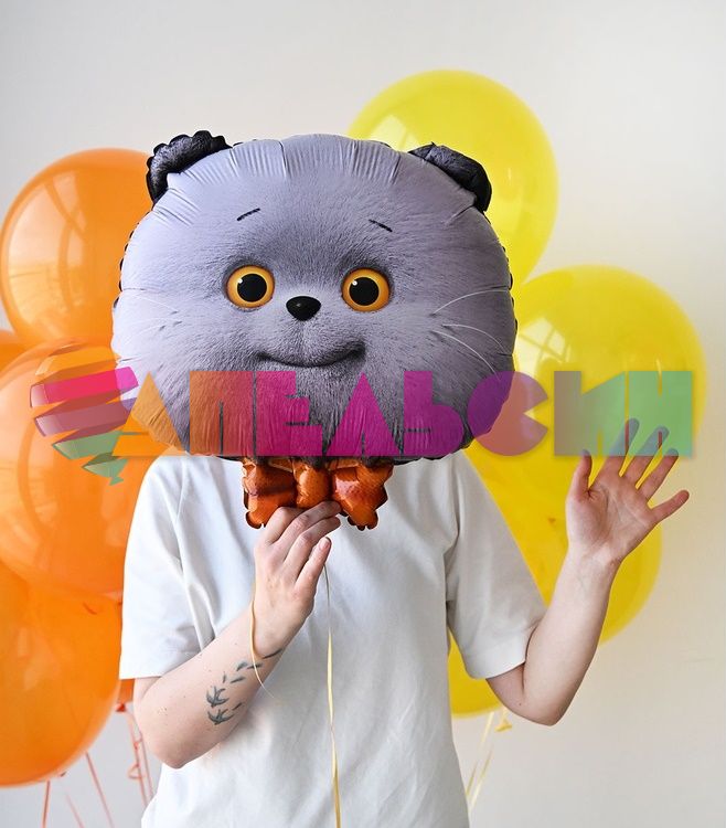 Мини голова Кот Басик ВЗ20"/52см с клапаном (Китай) 1207-6260