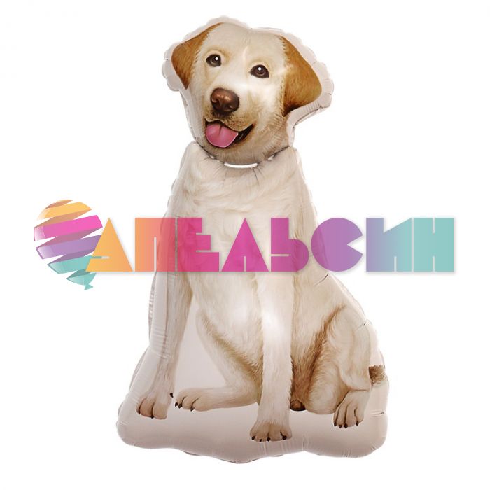 Шар фигура Собака Лабрадор E33"/84см (Китай) 1207-5096