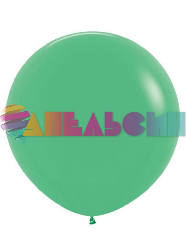 Шар пастель Зеленый DL24"/60см (160) Green (Вьетнам) 324160-1