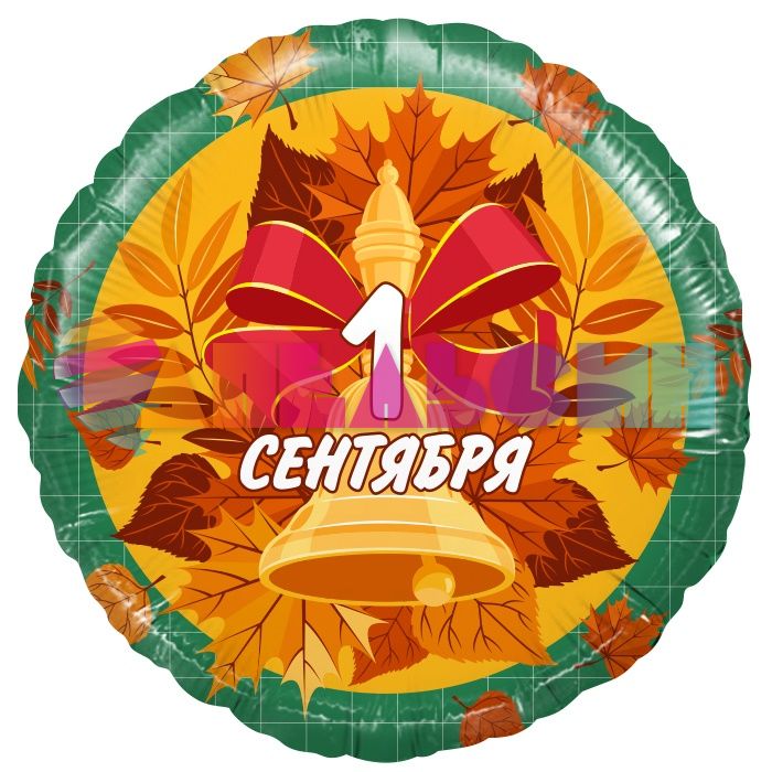 Шар фольга 1 сентября AG19"/48см (Россия) 740112