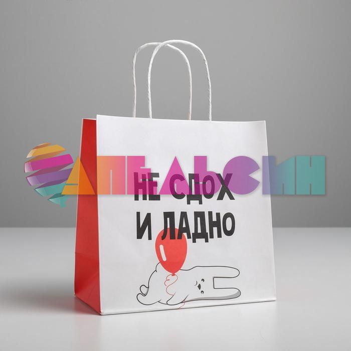 Пакет Не сдох и ладно 22х22х11см крафт 5114101