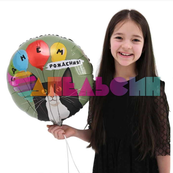 Шар фольга С ДР Кот и воздушные шары Е18"/46см (Китай) 1202-4259
