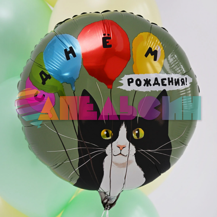 Шар фольга С ДР Кот и воздушные шары Е18"/46см (Китай) 1202-4259
